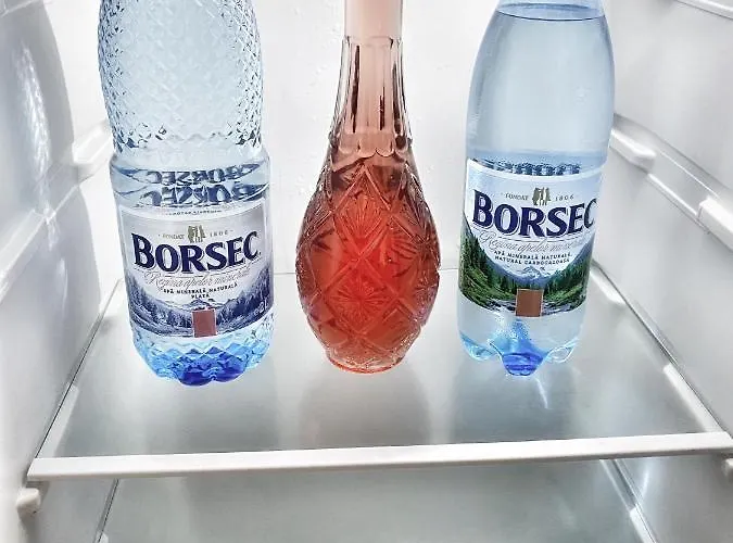 アパート ”modern Apartment” Old コンスタンツァ